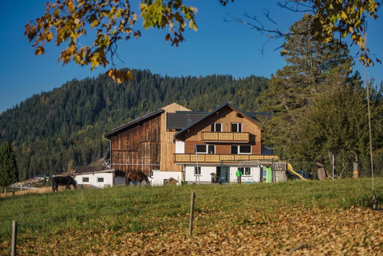 Deluxe Appartement Blasbichlerhof Ramsau am Dachstein Kültér fotó